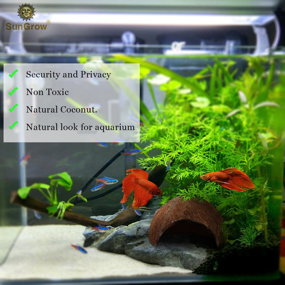 SunGrow Betta Cave top view reveals open entrance and easy tank placement.