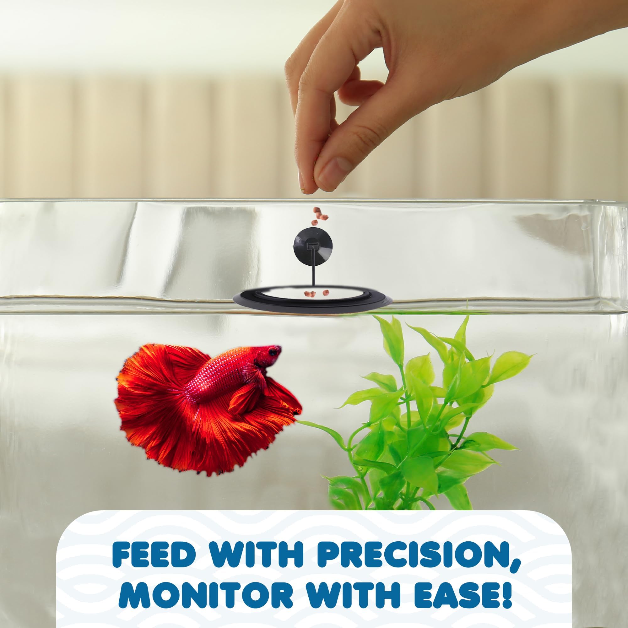 SunGrow Betta Feeding Ring accessories keep feeding organized and cleanup simpler in busy tanks.