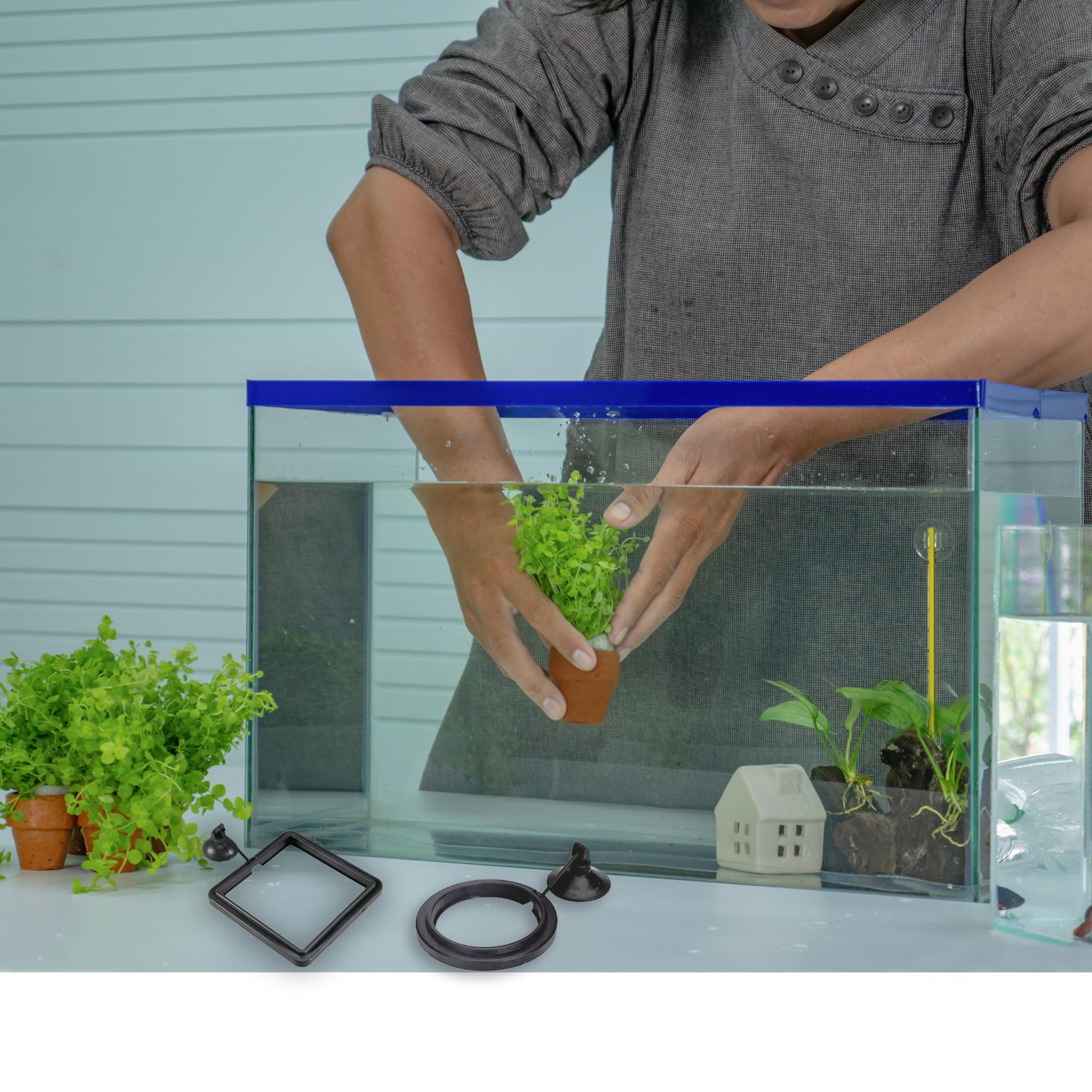 SunGrow Betta feeding ring helps decrease bullying while feeding.