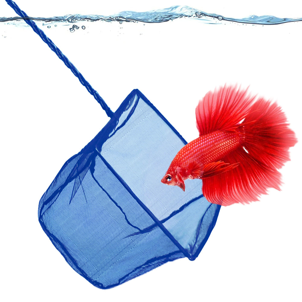 SunGrow Betta Fish Net 5x4 inches captures delicate bettas safely during transfers.