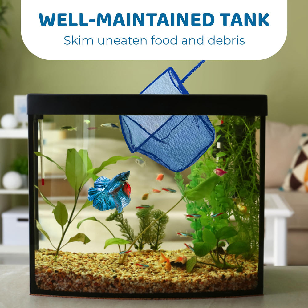 SunGrow Betta Net uses soft nylon mesh to minimize snag risk during transfers.