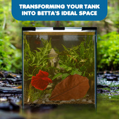 SunGrow Betta Leaves placed for spawning-friendly environment