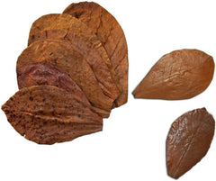 SunGrow Betta Leaves in aquarium ready for use and water conditioning