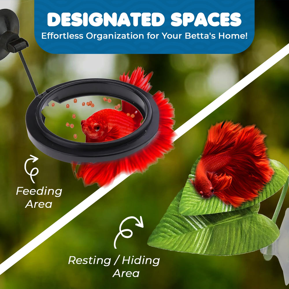 SunGrow Betta Ring feeding-spot image highlights centralized food area.