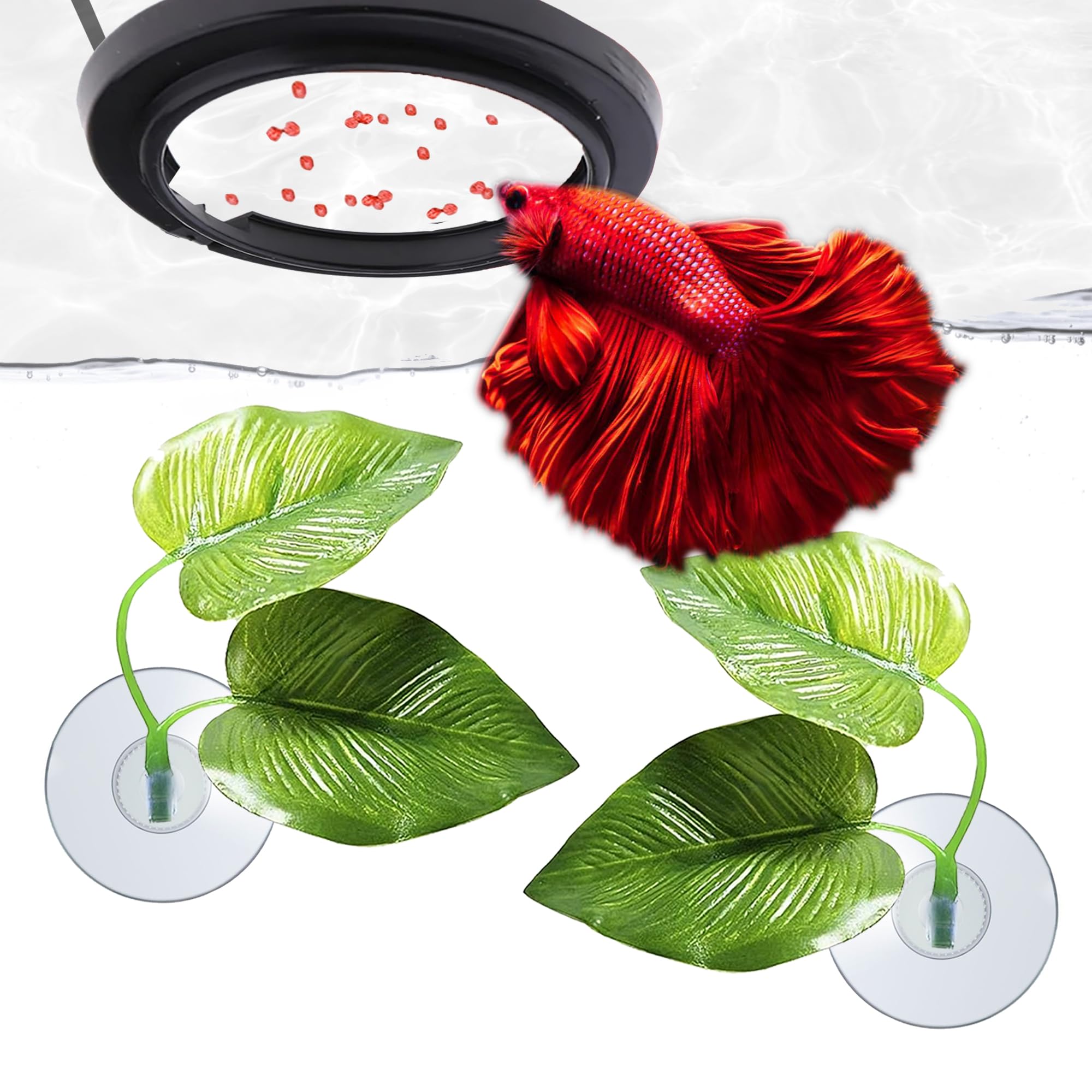 SunGrow Betta Ring resting spot in action for surface lounging.