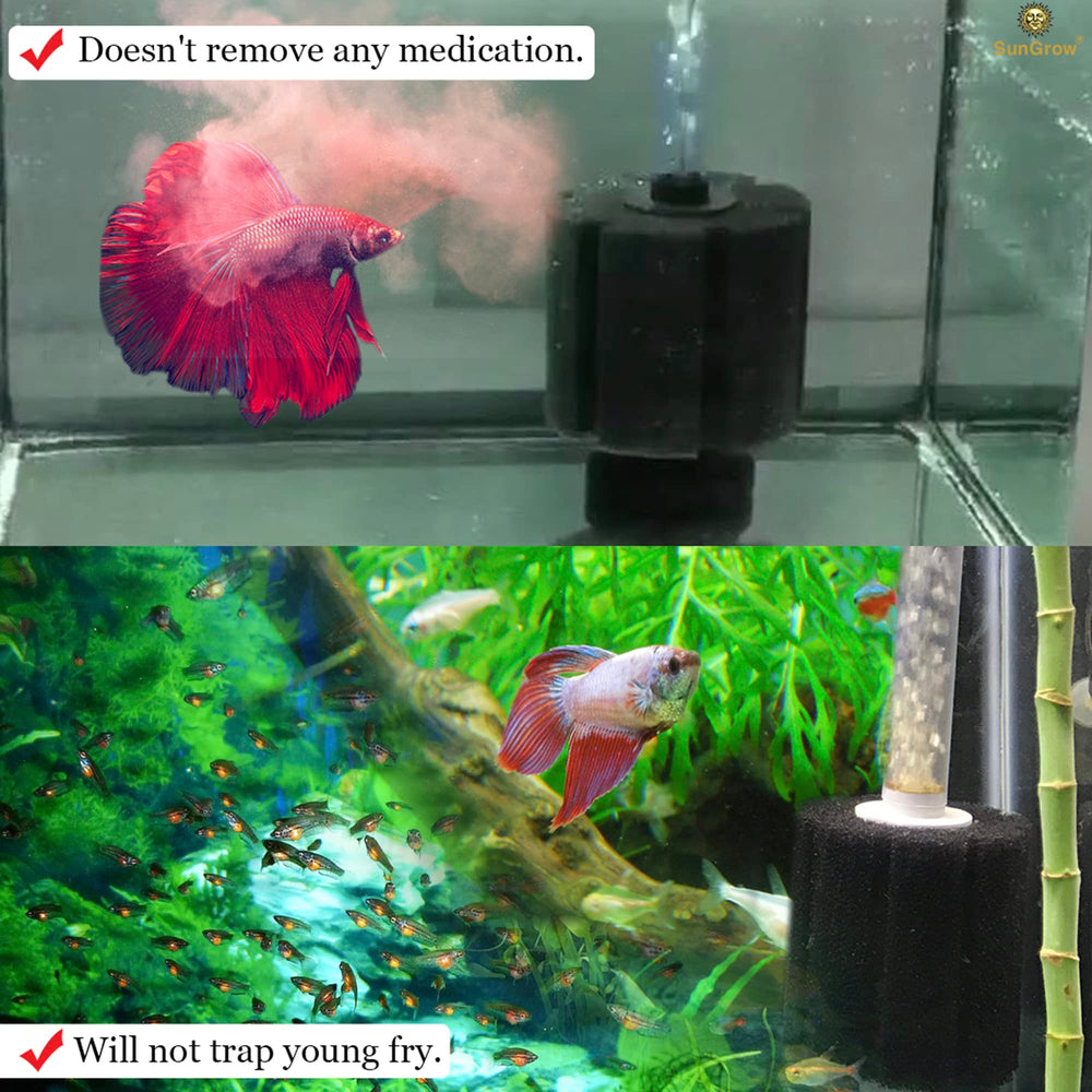 SunGrow Betta Sponge Filter in tank highlighting suitability for fry