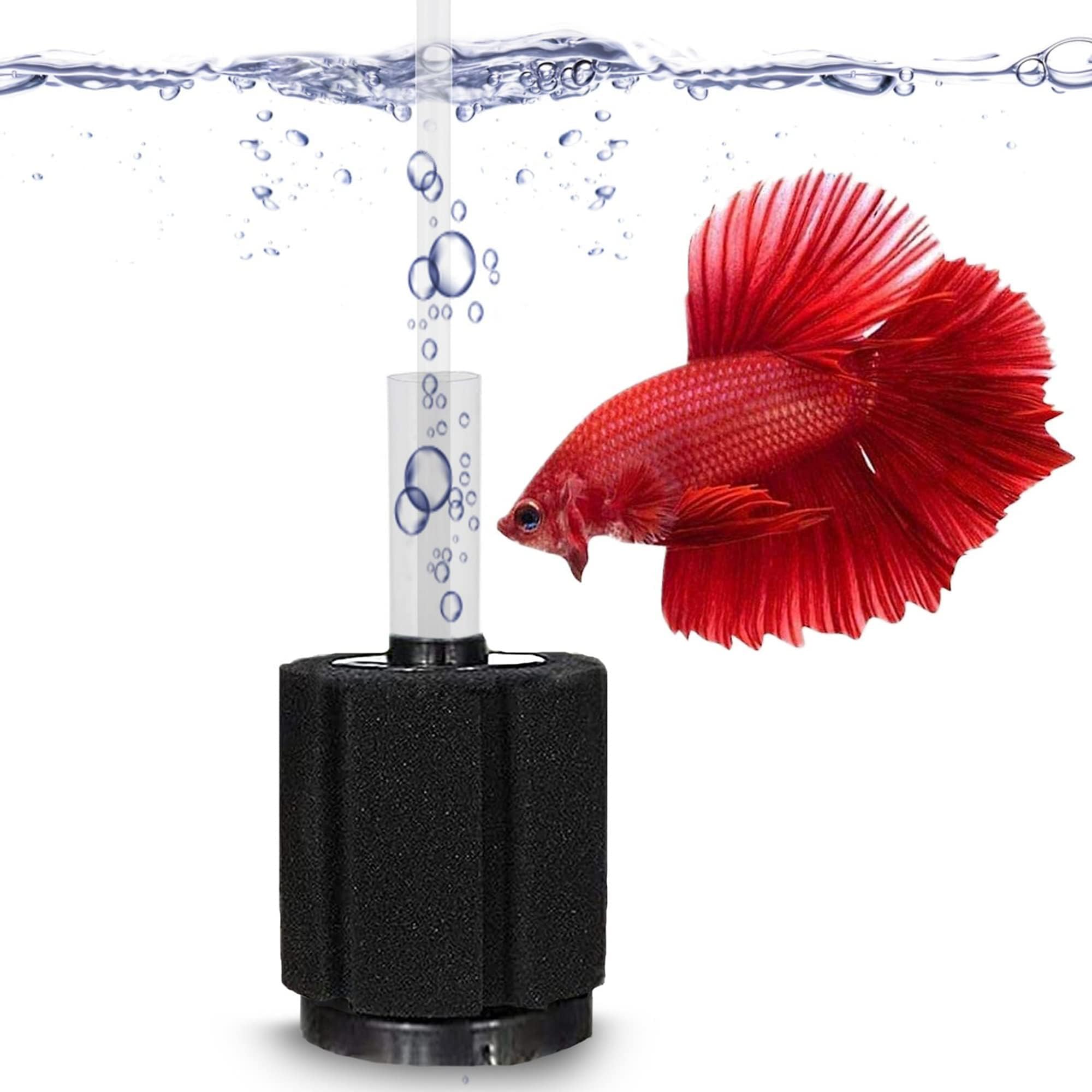 SunGrow Betta Sponge Filter top view showing gentle current for small fish