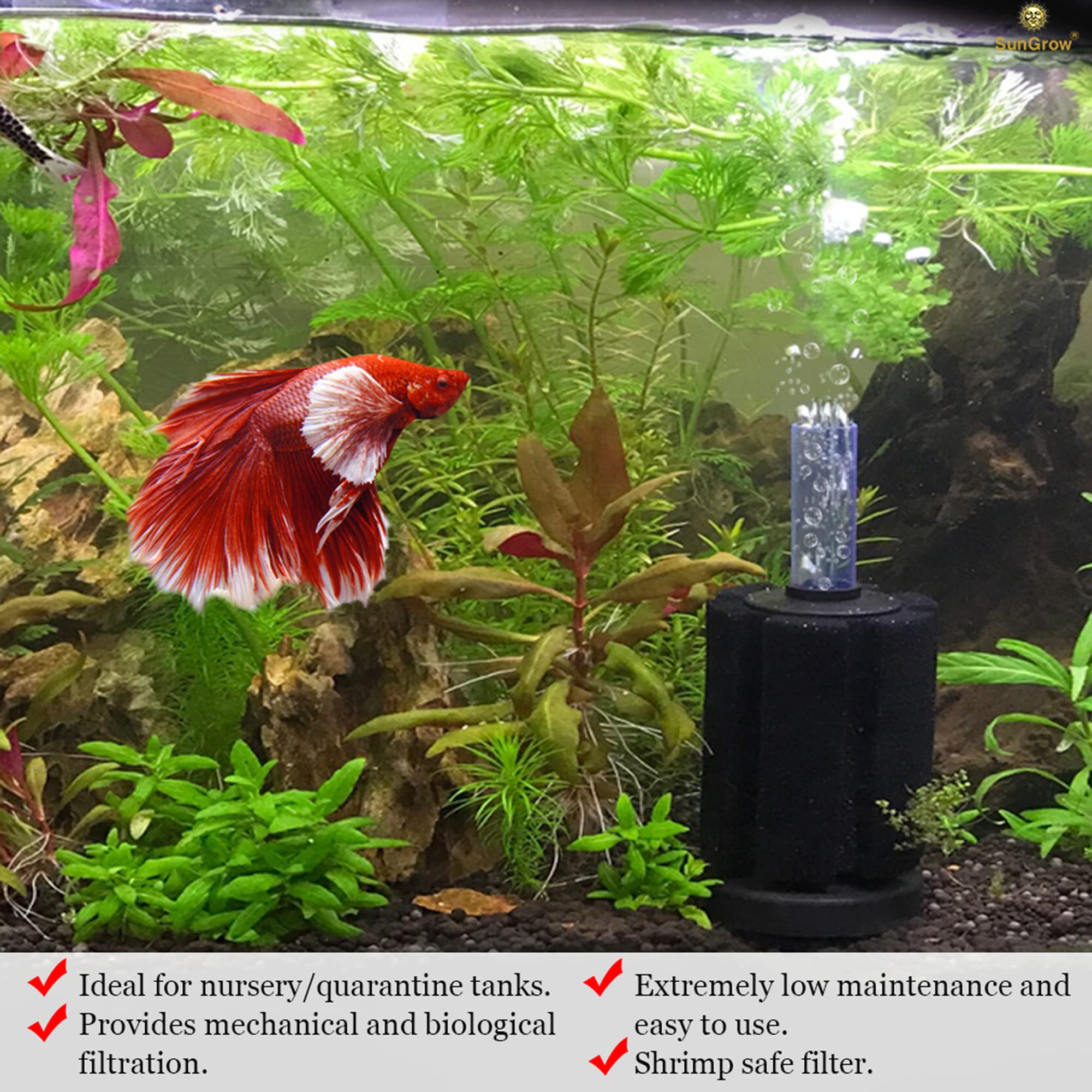 SunGrow Betta Sponge Filter close-up of bubbles for aeration