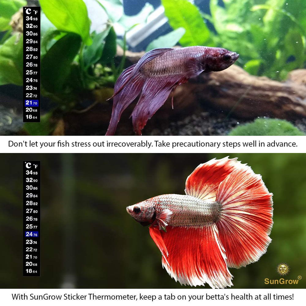 SunGrow Betta tank thermometer readout enables quick checks for stable tank conditions.
