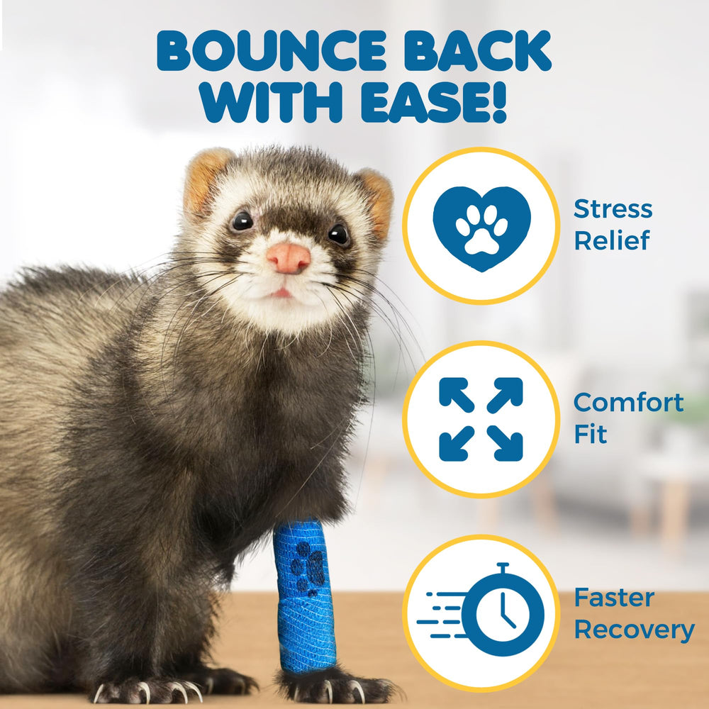 SunGrow bitter-taste deterrent bandage deters licking to support recovery.