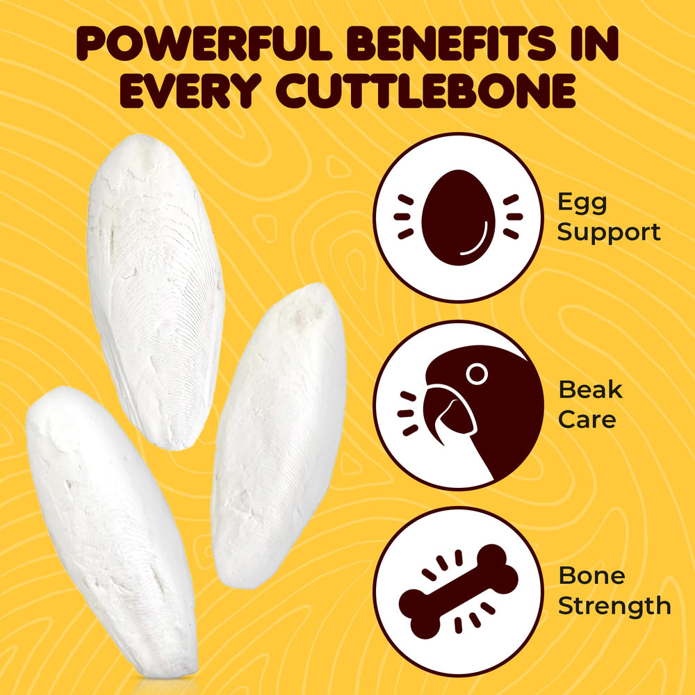 SunGrow sungrow calcium cuttlebone supports eggshell quality in female cockatiels.