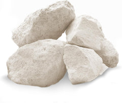 SunGrow Calcium Rocks closeup highlighting calcium-rich surfaces for stronger shells