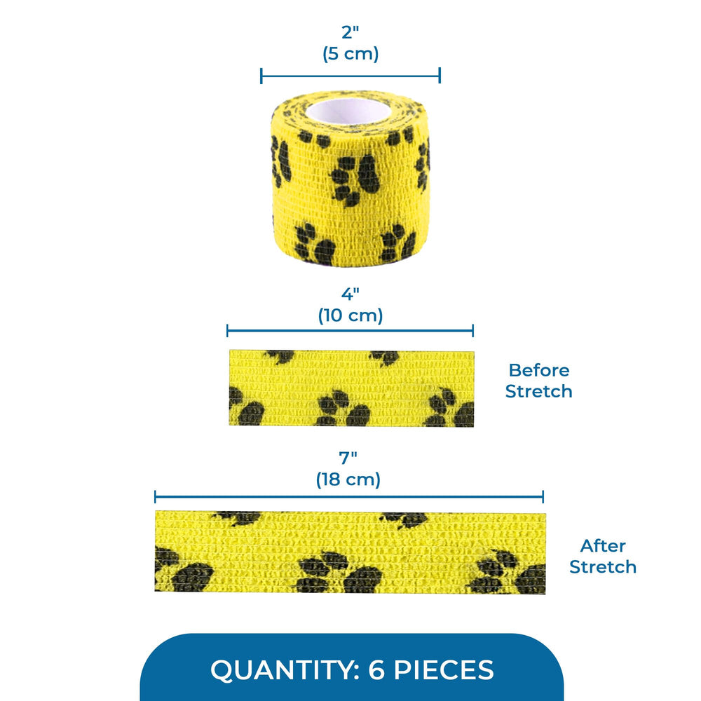 SunGrow 6-pack kit in blue green yellow supports preparedness.