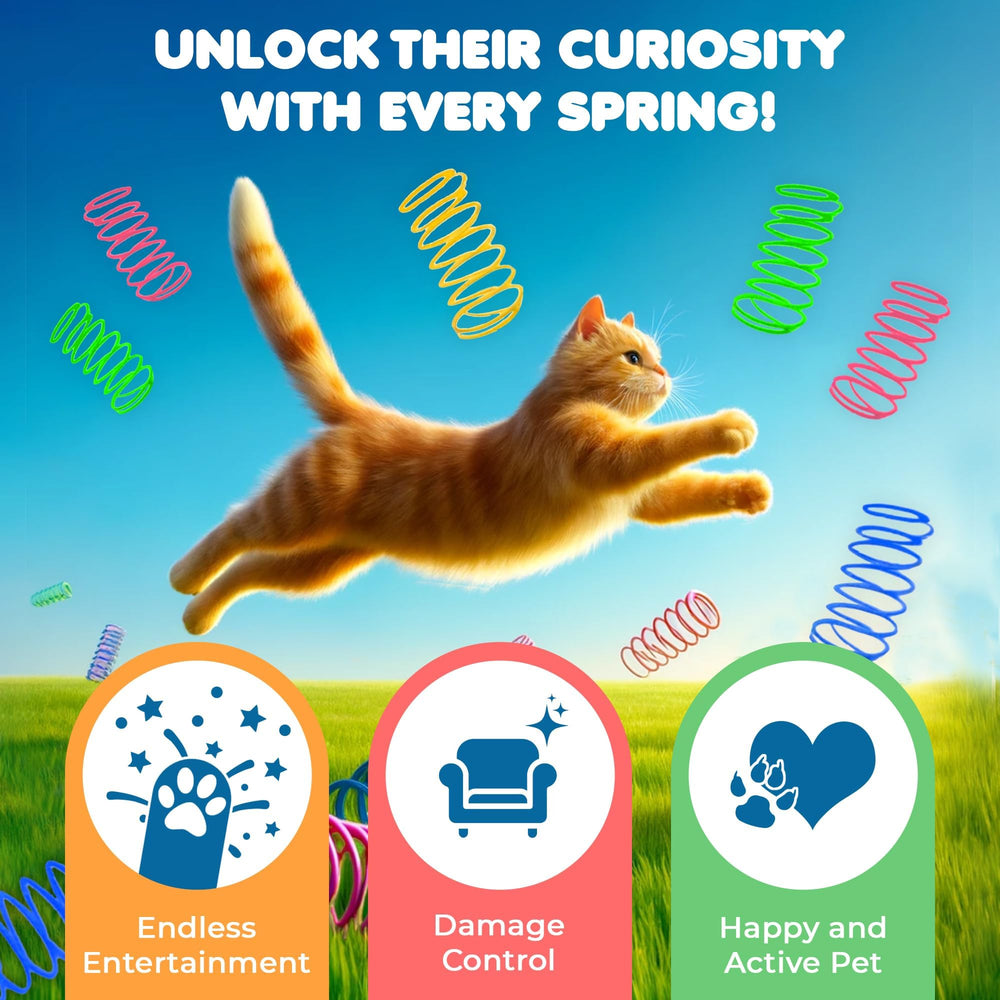SunGrow Cat Coil Springs bright-colors image supports sensory play and visual stimulation.