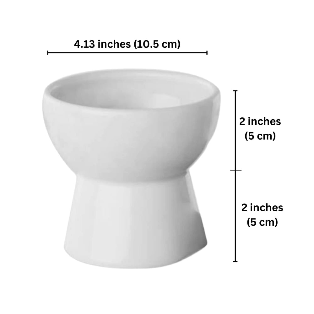 SunGrow raised bowl promotes relaxed mealtime for cats.