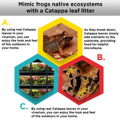 SunGrow leaf litter supports microfauna habitat with isopods and springtails.
