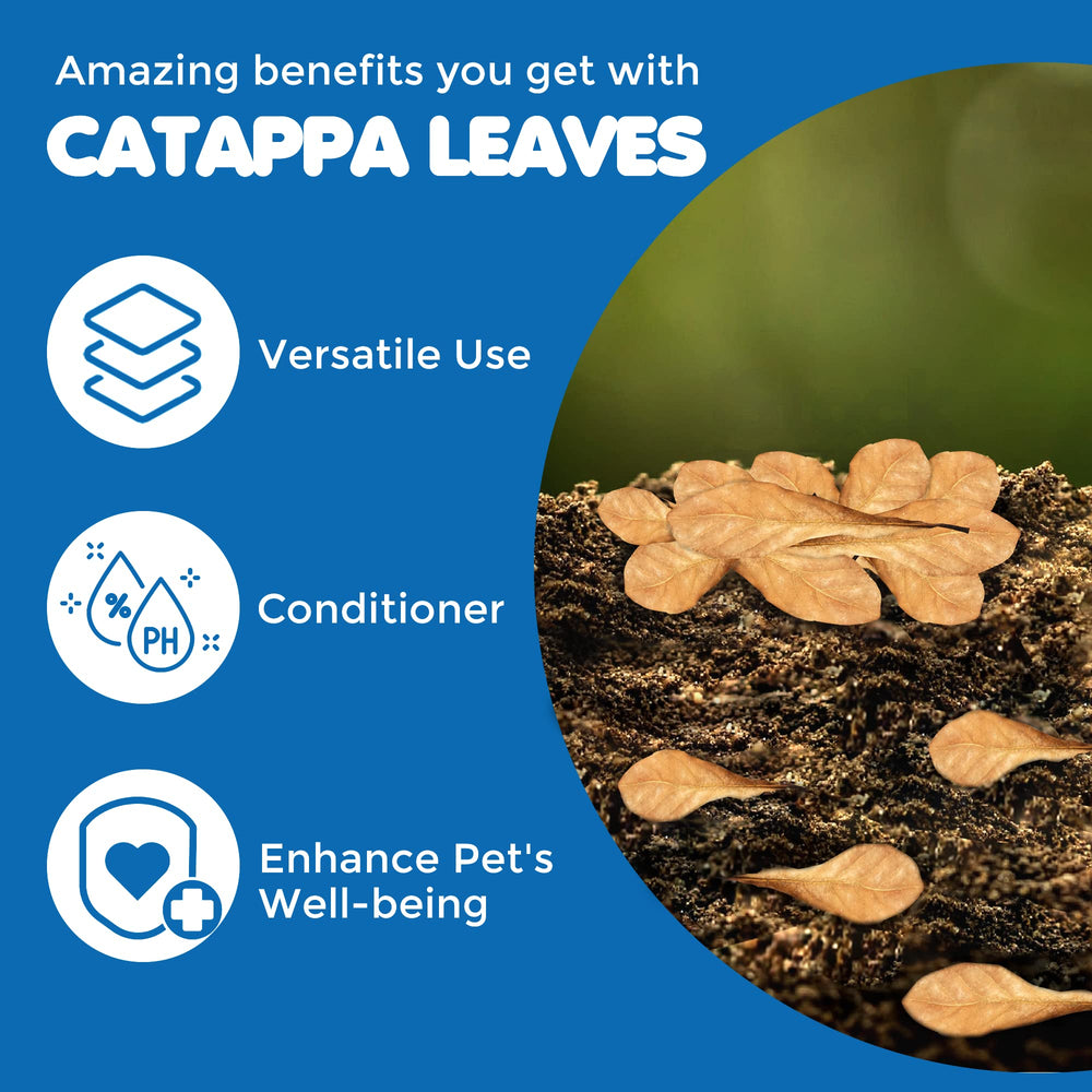 SunGrow catappa leaves frogs habitat adds natural litter and reduces stress.