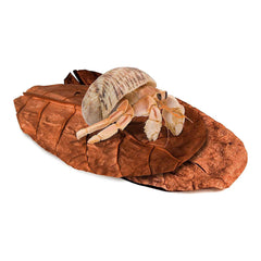 SunGrow catappa leaves habitat-humidity demonstrates adding natural moisture to terrariums.