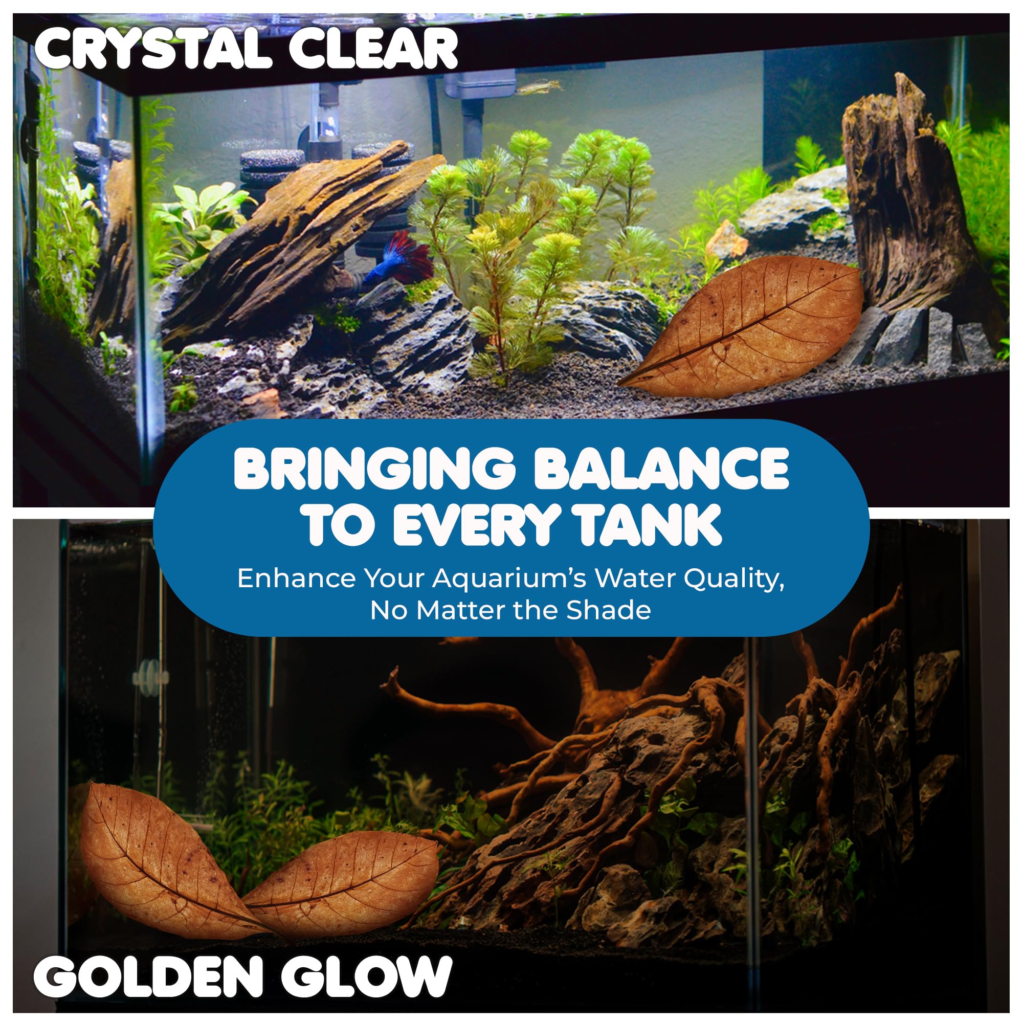 SunGrow Catappa leaves add natural beauty to nano tanks and jars.