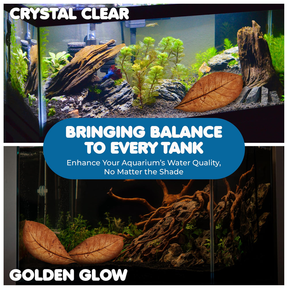 SunGrow Catappa leaves add natural beauty to nano tanks and jars.
