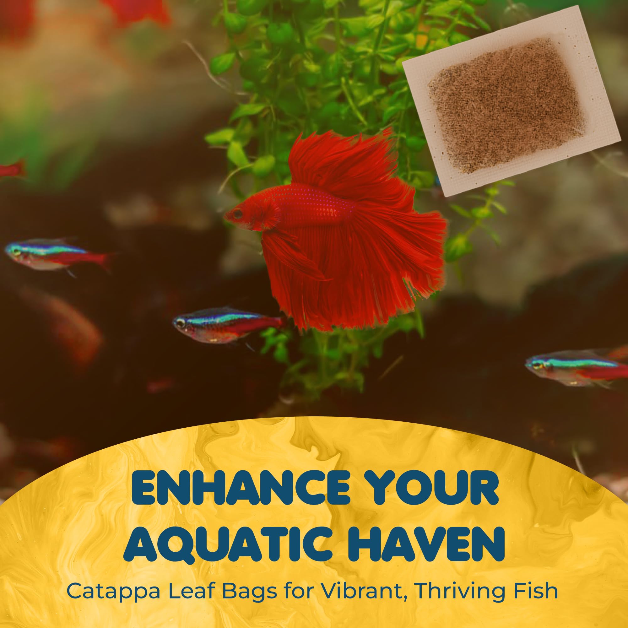 SunGrow Catappa water amber tint from tannins for natural feel