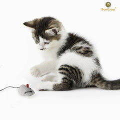 SunGrow catnip mice closeup with soft fabric for gentle play.