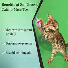 SunGrow Catnip Mice multicolor variation keeps cats engaged for hours.