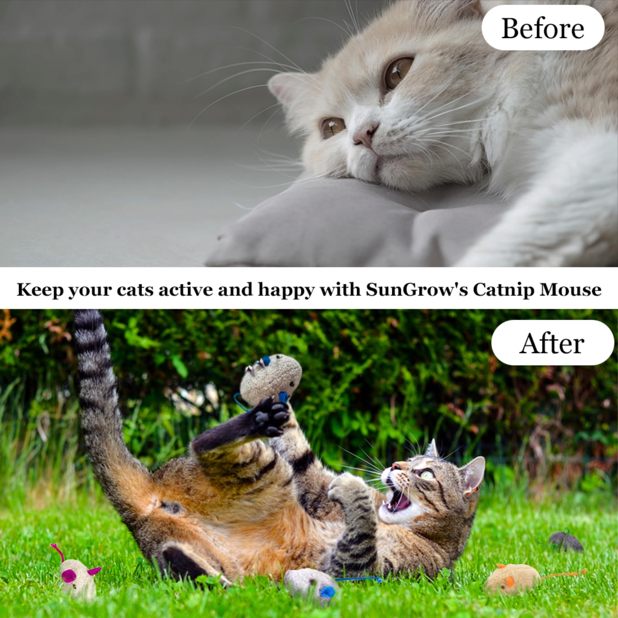 SunGrow Catnip Mice two-inch size suits kittens for tossing.