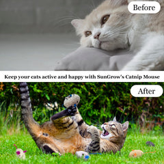 SunGrow Catnip Mice two-inch size suits kittens for tossing.
