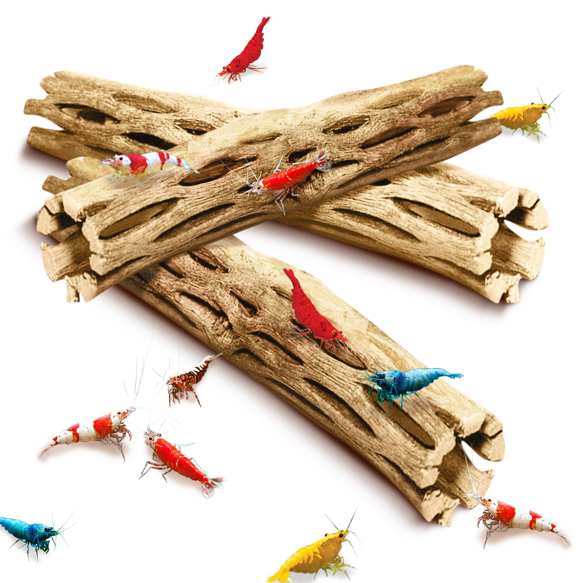SunGrow Cholla Wood 6-inch climbing logs enrich shrimp habitat and climbing fun.