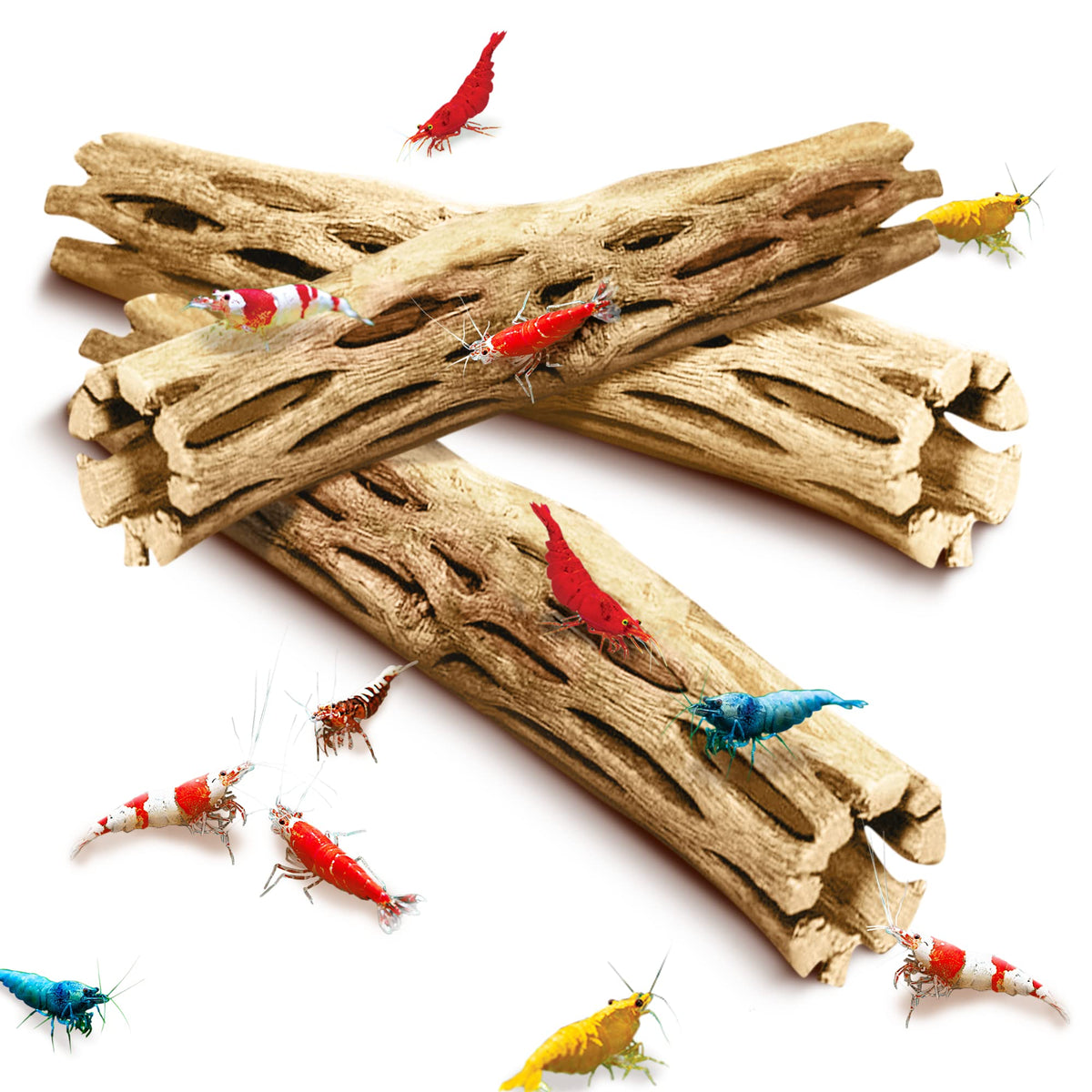 SunGrow Cholla Wood 6-inch climbing logs enrich shrimp habitat and climbing fun.