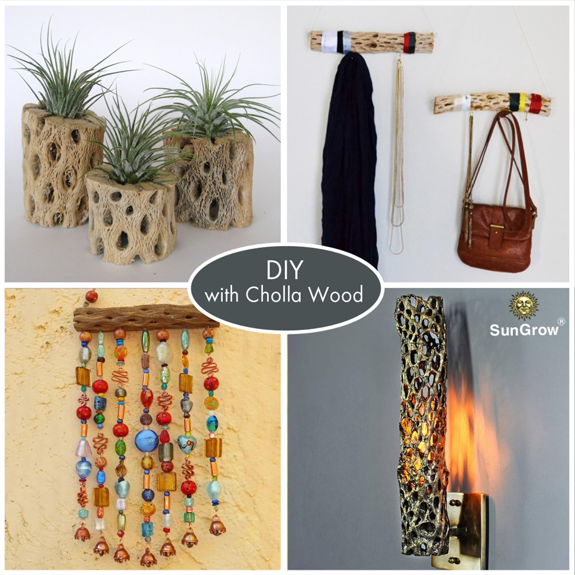 SunGrow Cholla Wood climbing logs add vertical space for exploration.