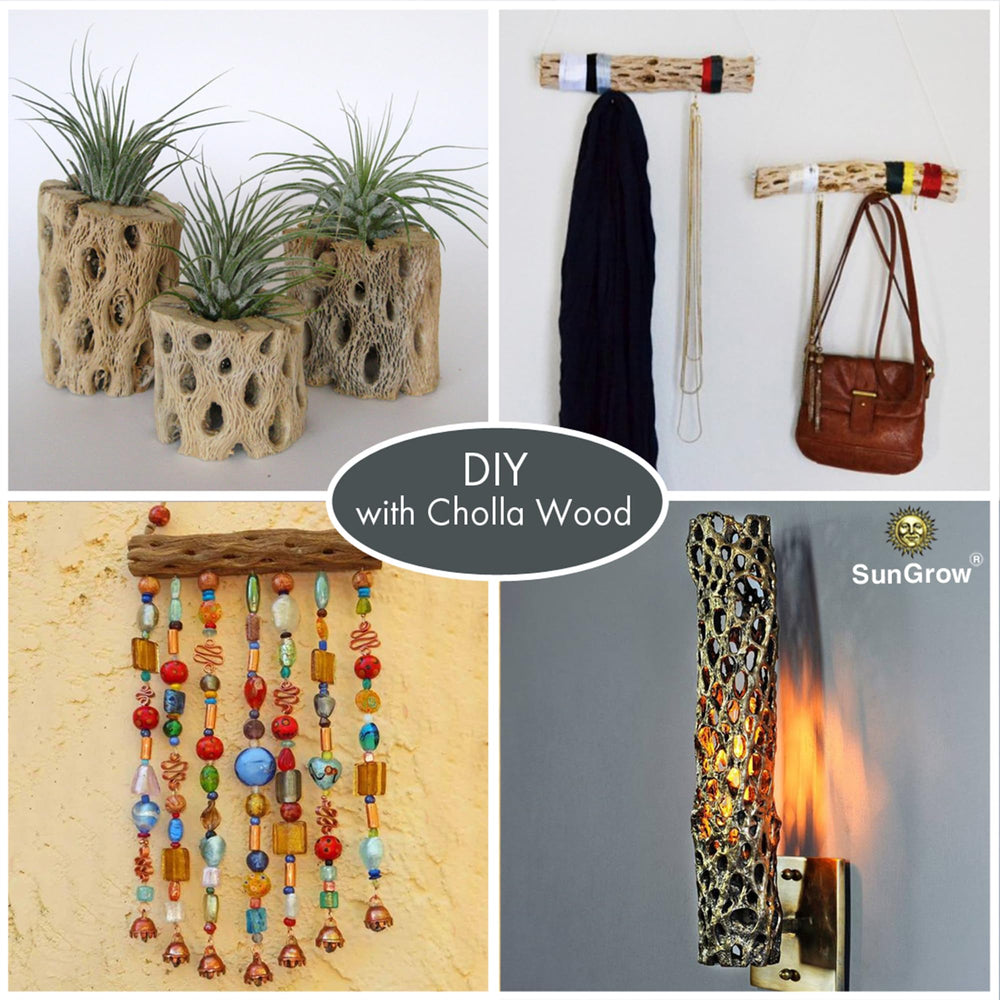 SunGrow Cholla Wood climbing logs add vertical space for exploration.