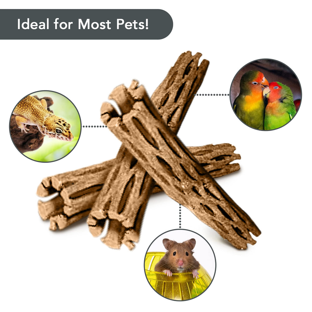 SunGrow Cholla Wood pack of 3 offers varied hides and crevices.