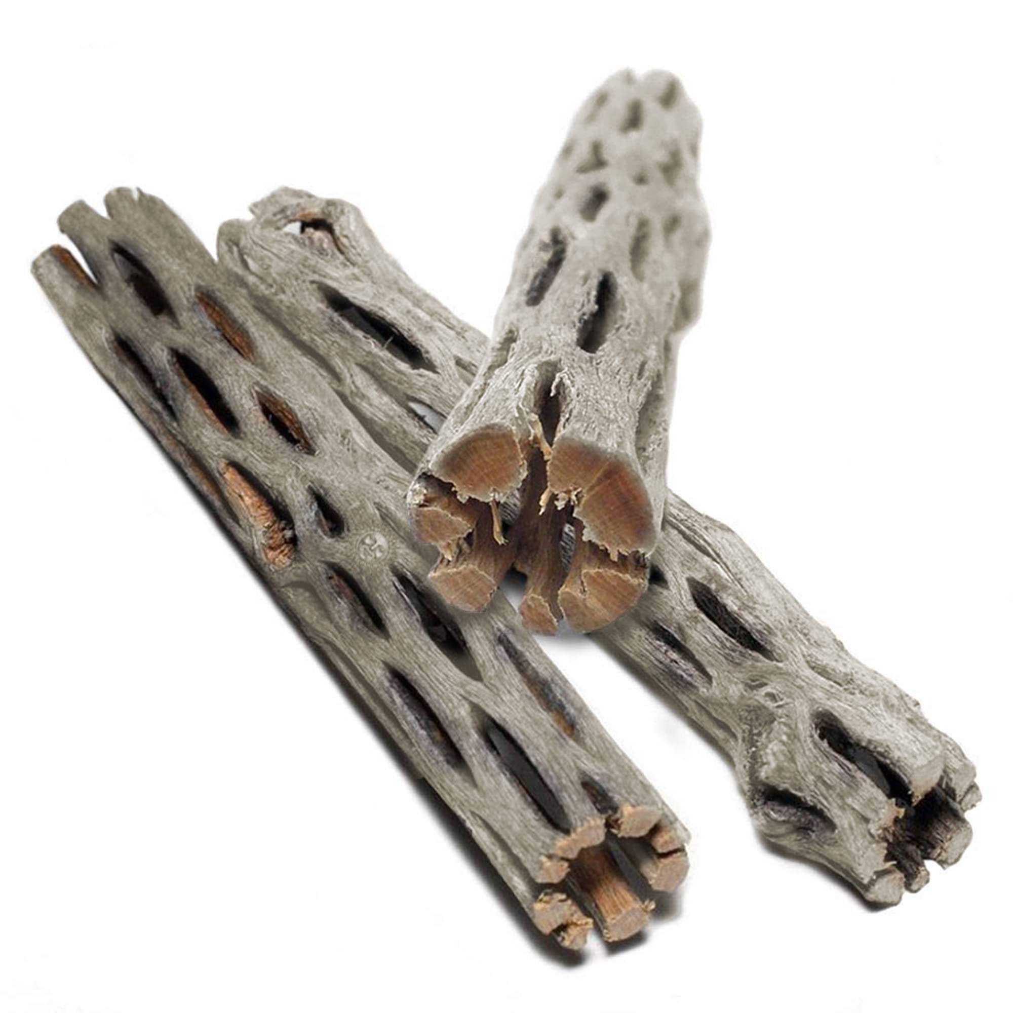 SunGrow Cholla Wood porous texture close-up supports natural grazing surfaces.