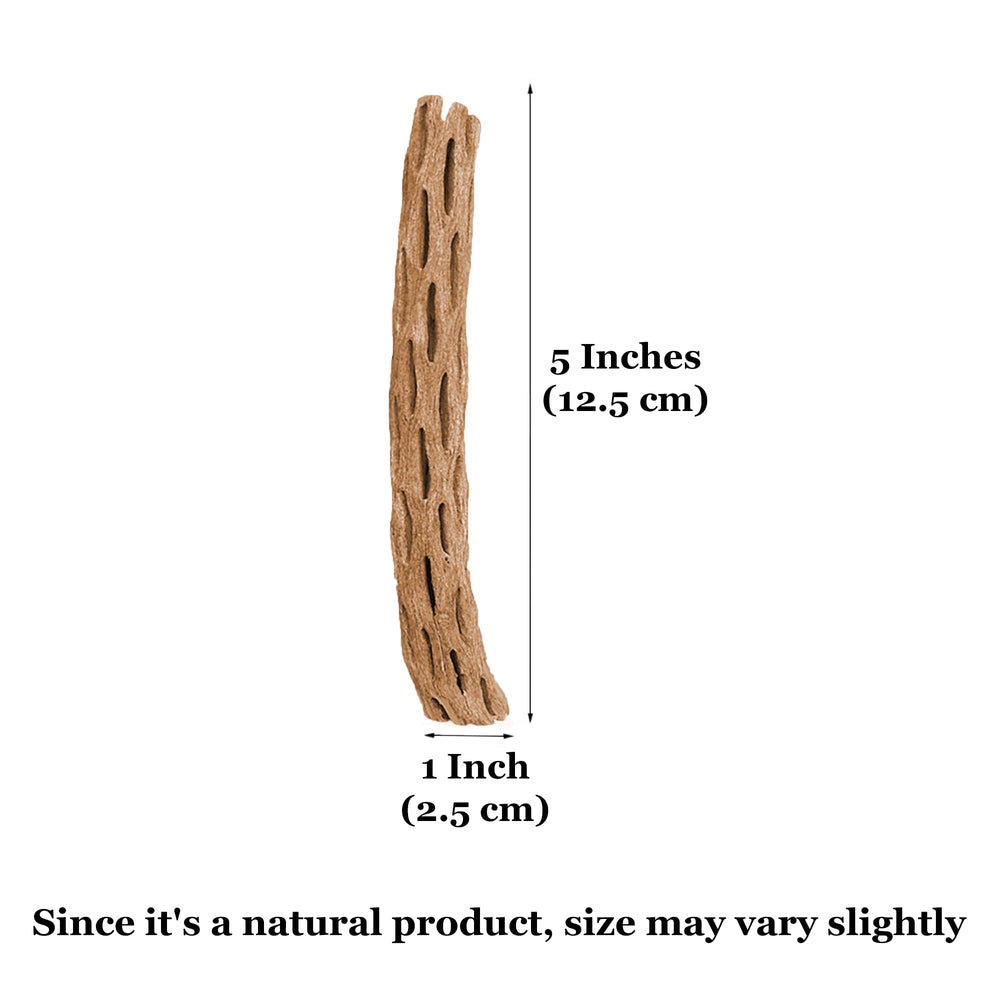 SunGrow cholla wood bundle demonstrates easy placement in reptile habitats.