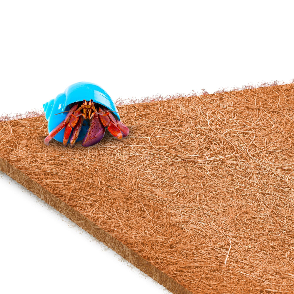 SunGrow Coco Fiber Mat on terrarium bottom supports humidity and comfortable movement.