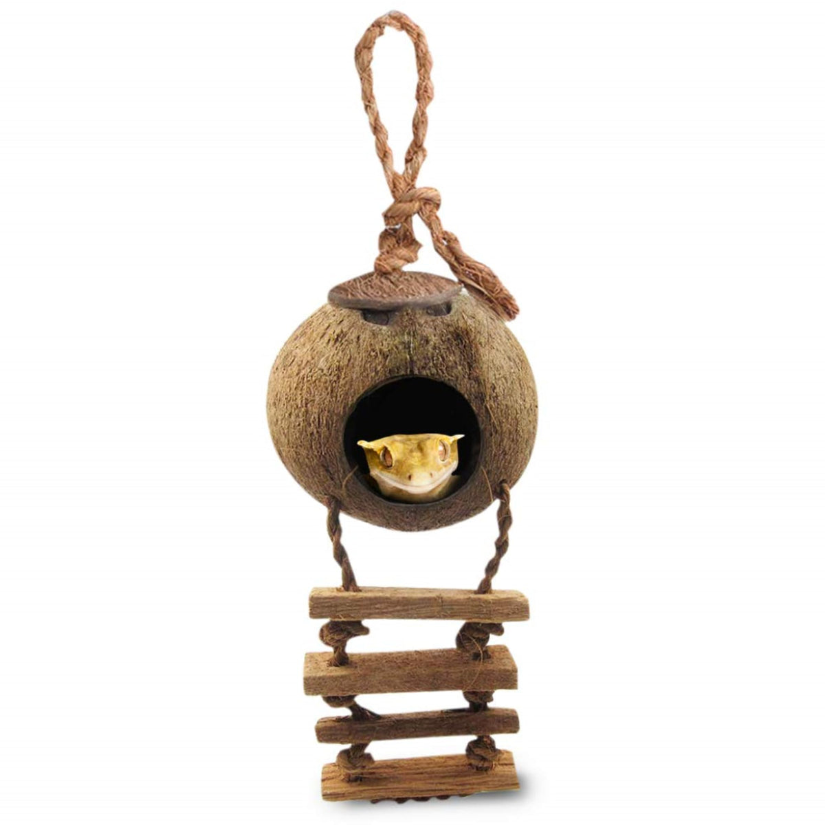 SunGrow Coco Hut gecko-hidehouse offers natural shelter and hiding space for reptiles.