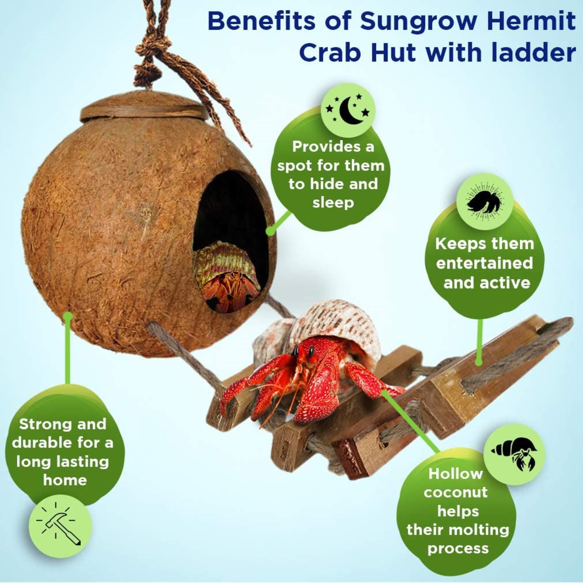 SunGrow coco hut nap space demonstrates cozy hollow for rest and privacy.