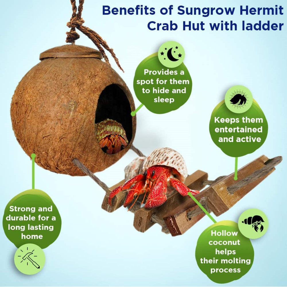 SunGrow coco hut nap space demonstrates cozy hollow for rest and privacy.