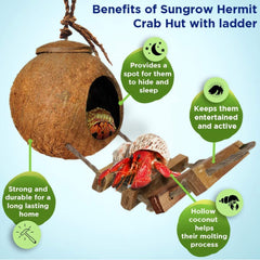 SunGrow coco hut nap space demonstrates cozy hollow for rest and privacy.