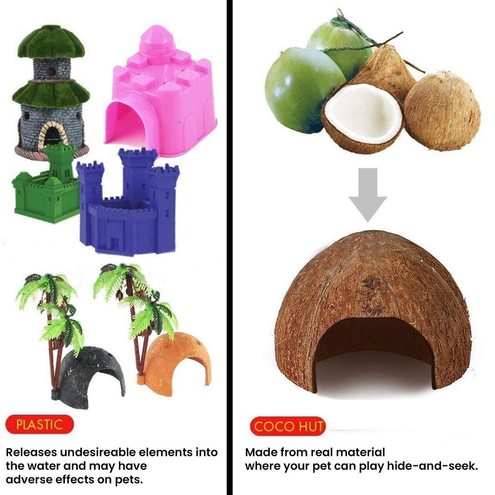 SunGrow Coconut Hut tunnel setup encourages climbing routes.