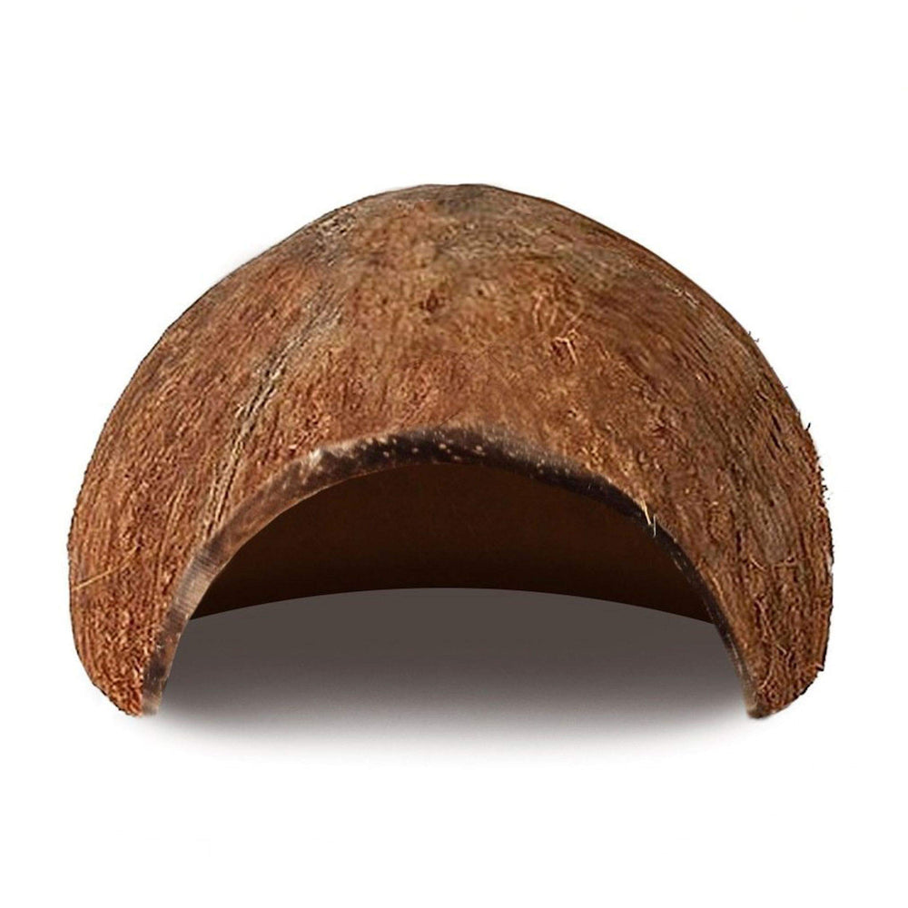 SunGrow Coconut Hut basking area promotes gentle sun exposure and rest.