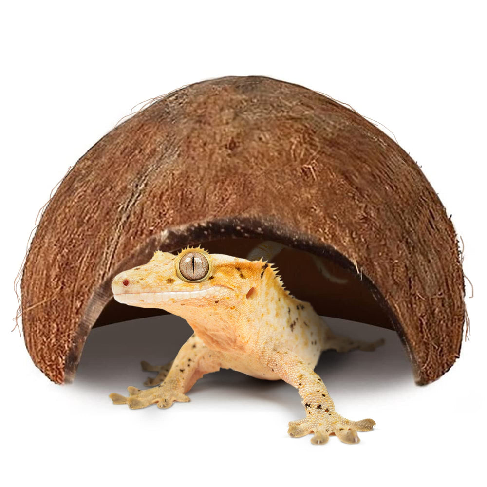 SunGrow Coconut Hut crested gecko perching spot supports exercise and enrichment.