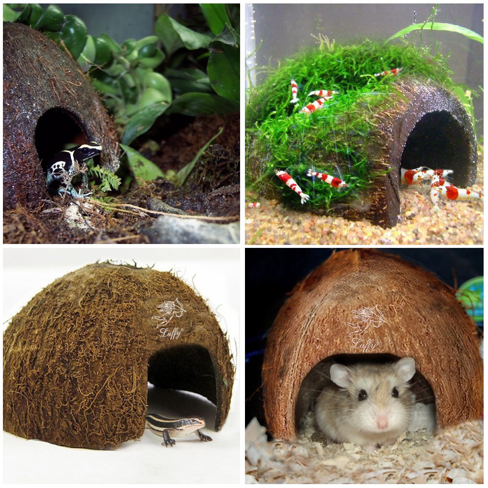 SunGrow Coconut Hut textured coconut shell enhances arboreal exploration.
