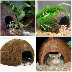 SunGrow Coconut Hut textured coconut shell enhances arboreal exploration.