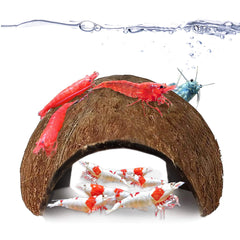 SunGrow Coconut Shrimp Cave tank decor adds natural charm and a cozy shrimp hideout.