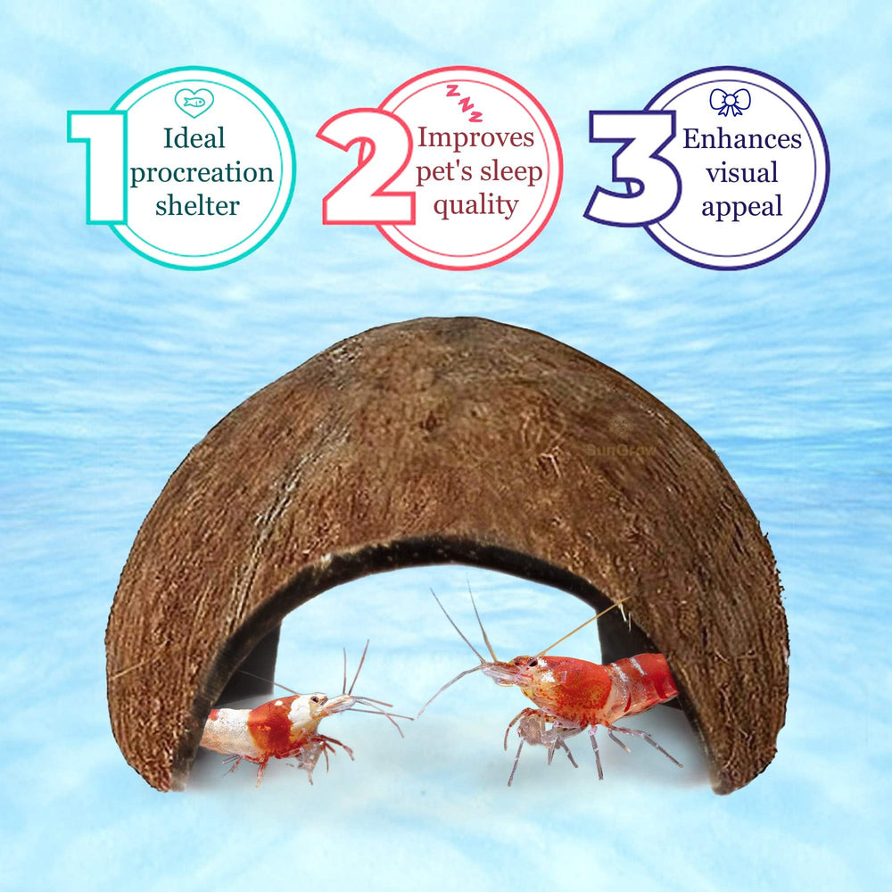 SunGrow Coconut Shrimp Cave with java moss enhances visual appeal and natural hiding spots.