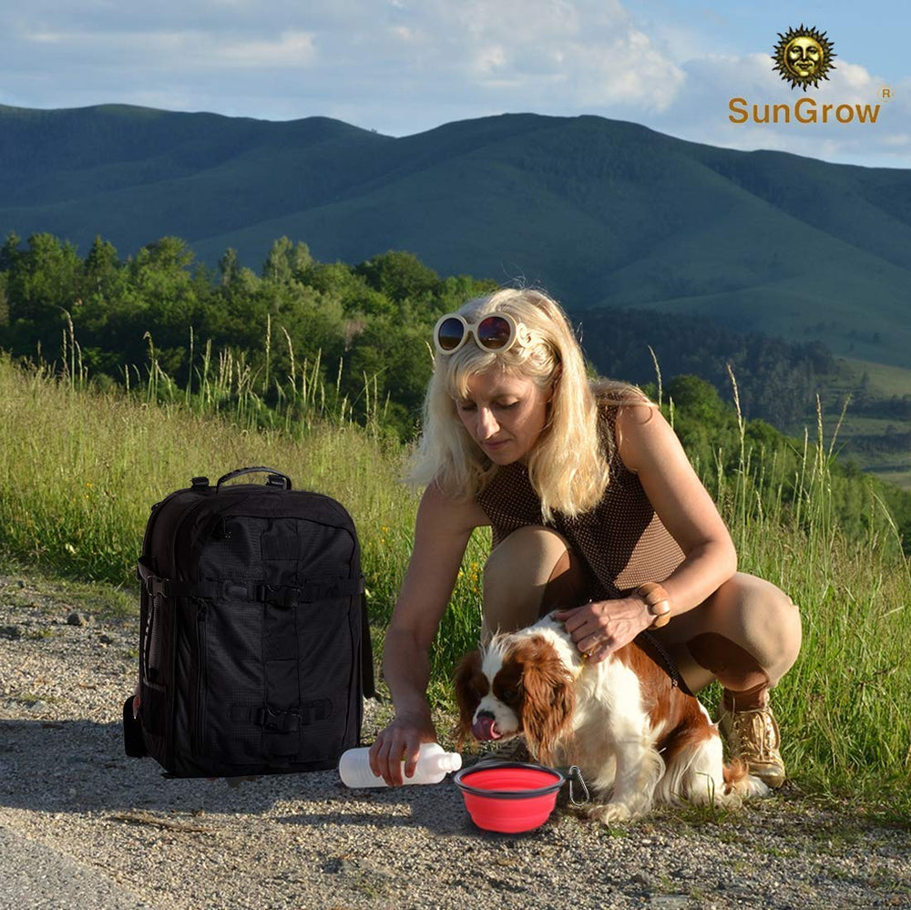 SunGrow collapsible dog travel bowls with carabiner clip for easy transport.
