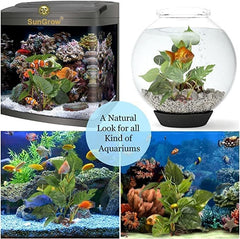 SunGrow compact plant fits small tanks, adding vertical interest and cover.